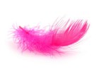 pink-feather