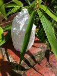 selenite