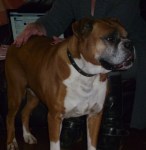 bonnie having her&nbsp;Reiki